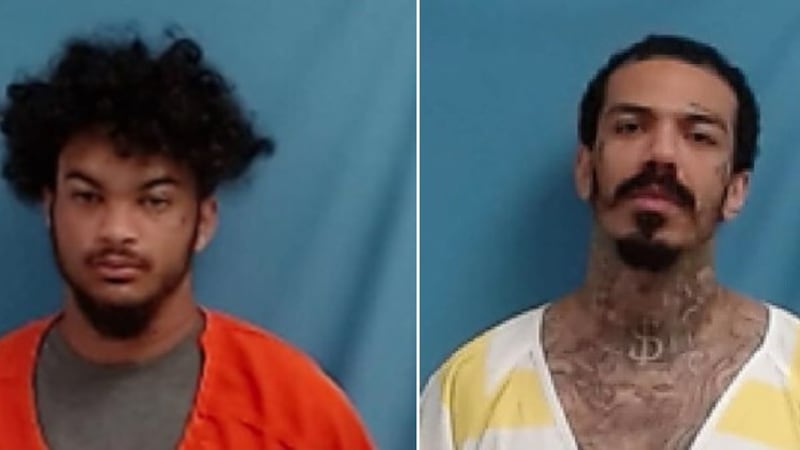 The White County Sheriff's office caught two inmates attempting to escape through the ceiling.